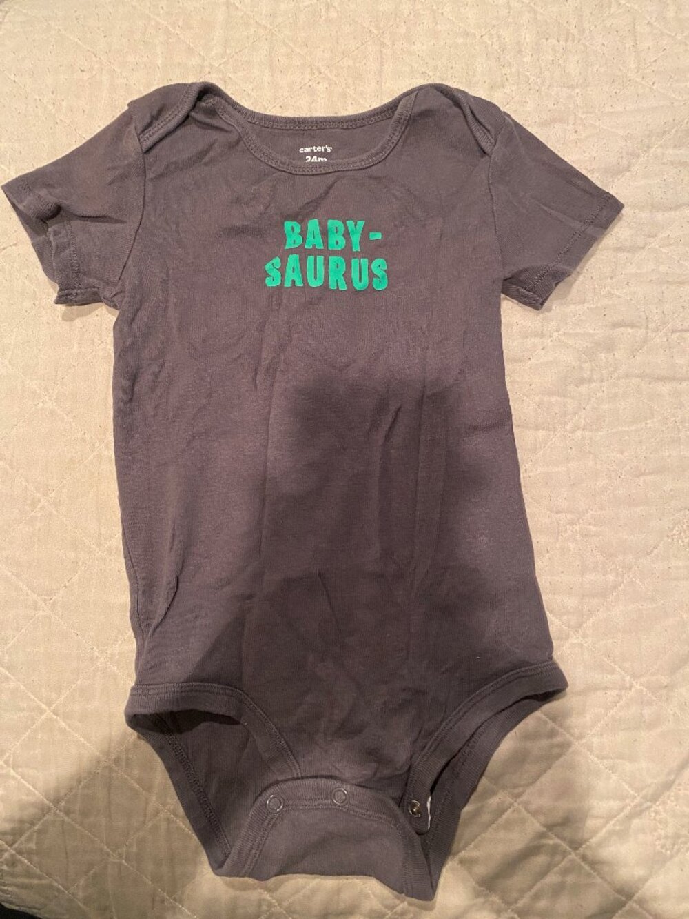 Baby-saurus Gray onsie- Size-24 months- great condition!